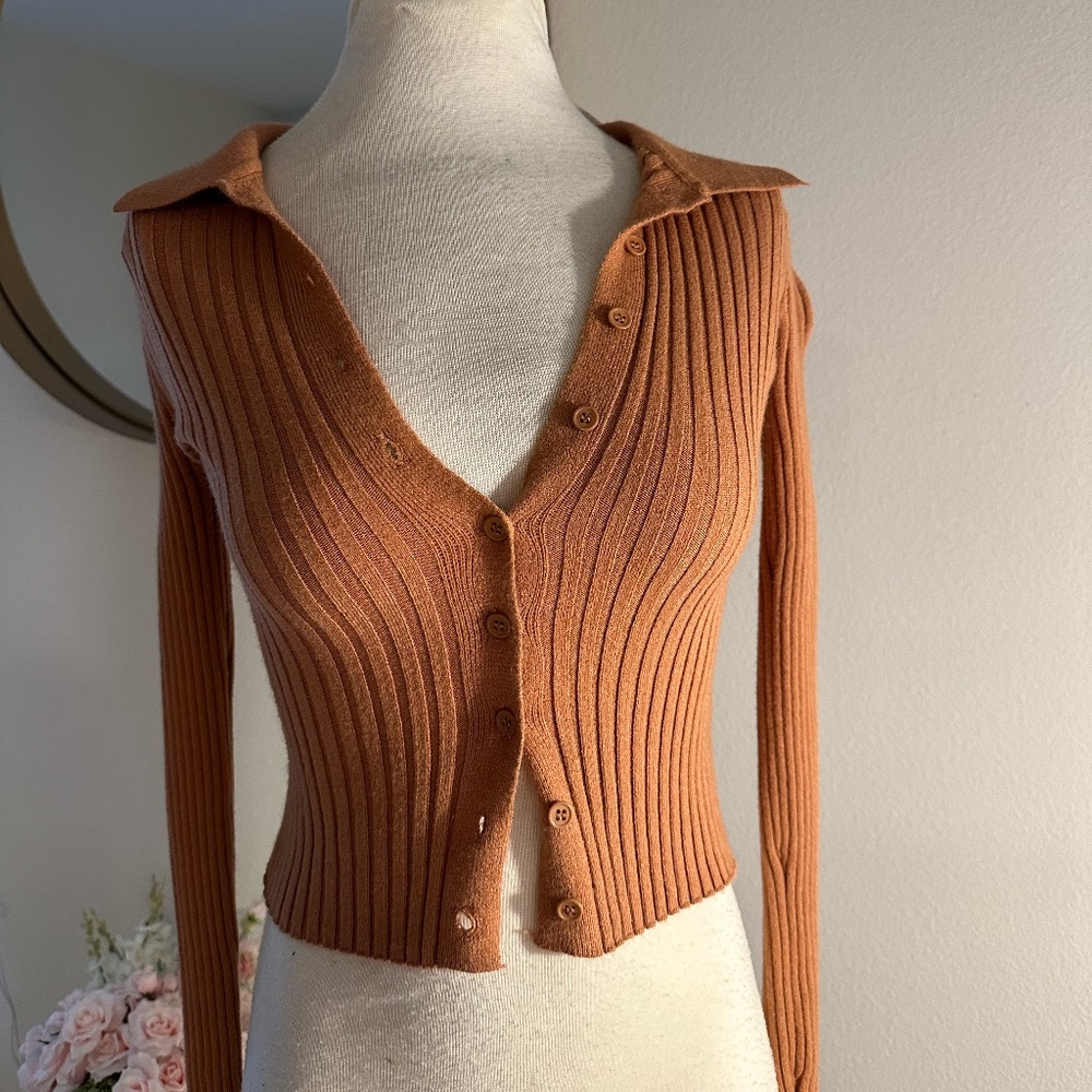 Ginger Button Up Top